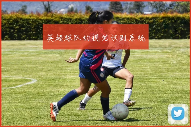 英超球队的视觉识别系统