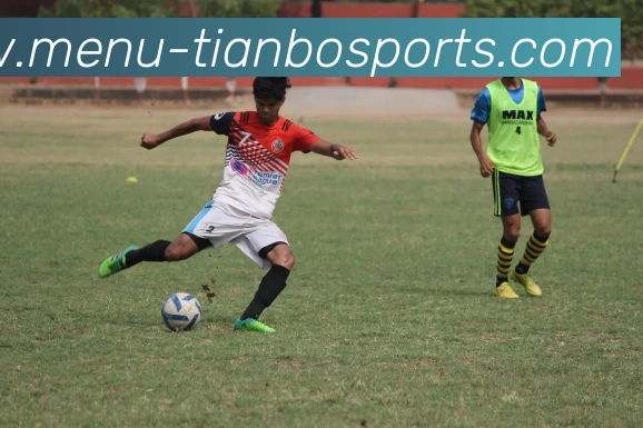 天博体育平台生态图